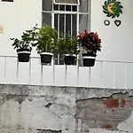 Condesa-Roma Norte Charming Mexican Style Apartment