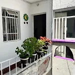 Condesa-Roma Norte Charming Mexican Style Apartment