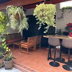 Mini Loft En Coyoacan