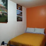 Casita Del Arbol
