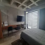 Roma Vista Loft- Oasis En El Corazon De La Roma