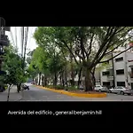 Condesa Dreams
