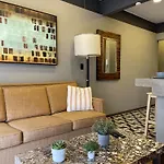 Departamento En La Condesa Cama King Size