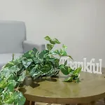 Mexican City Oasis - 3Br Apartment - Laundry