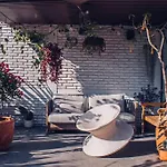 Art Oasis In The Heart Of Roma
