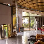 El Domo Jardin En Coyoacan