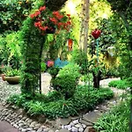 La Casita Del Patio Verde
