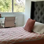 Apartment Down Town 203 -