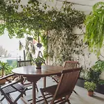Habitacion En Polanco