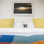 Homing Bird Allure Condesa Cdmx