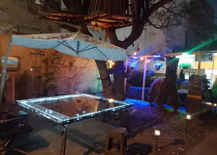 Casita Del Arbol