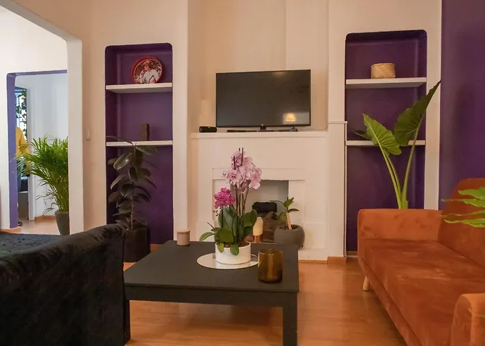 Panal Studio. Interior Design Spot In Roma Norte