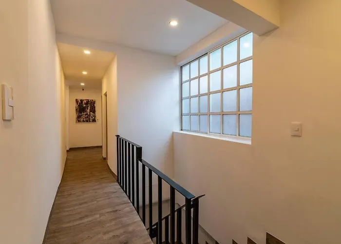 Lovely Loft Coyoacan