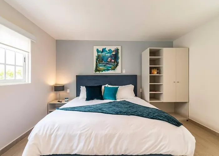 Lovely Loft In The Best Area Of Coyoacan