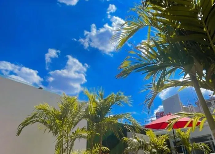 Casa Frida Condesa