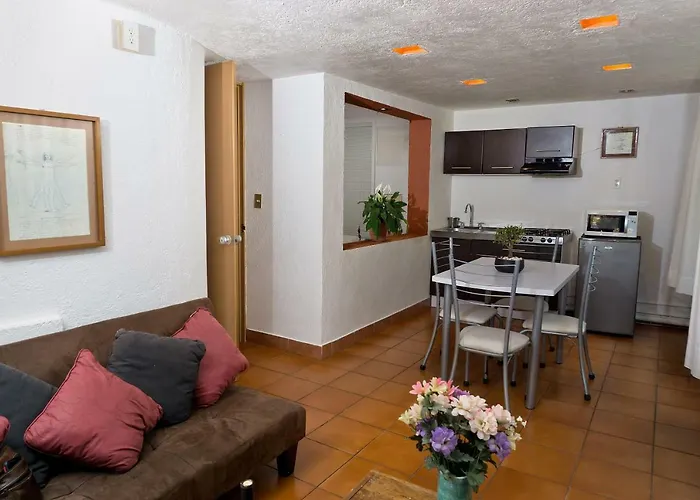 Suite 4A, Terraza, Garden House, Welcome To San Angel