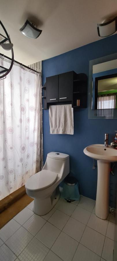 Apartment Reforma 96