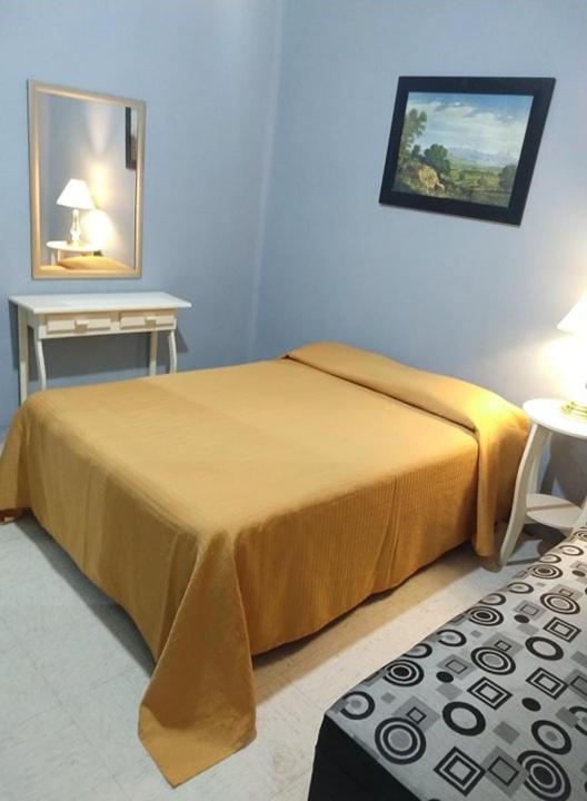 Camping Centro Cdmx *