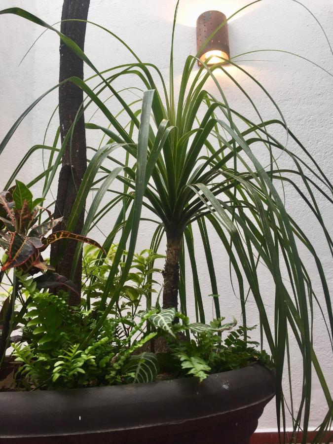 Trojes Cdmx Bed & Breakfast *