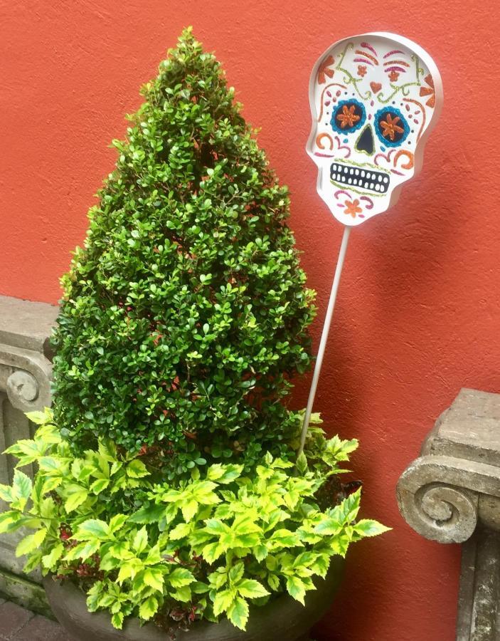Bed & Breakfast Trojes Cdmx Mexico City