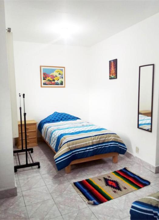 Guest house Terraza Tlalpan-acoxpa