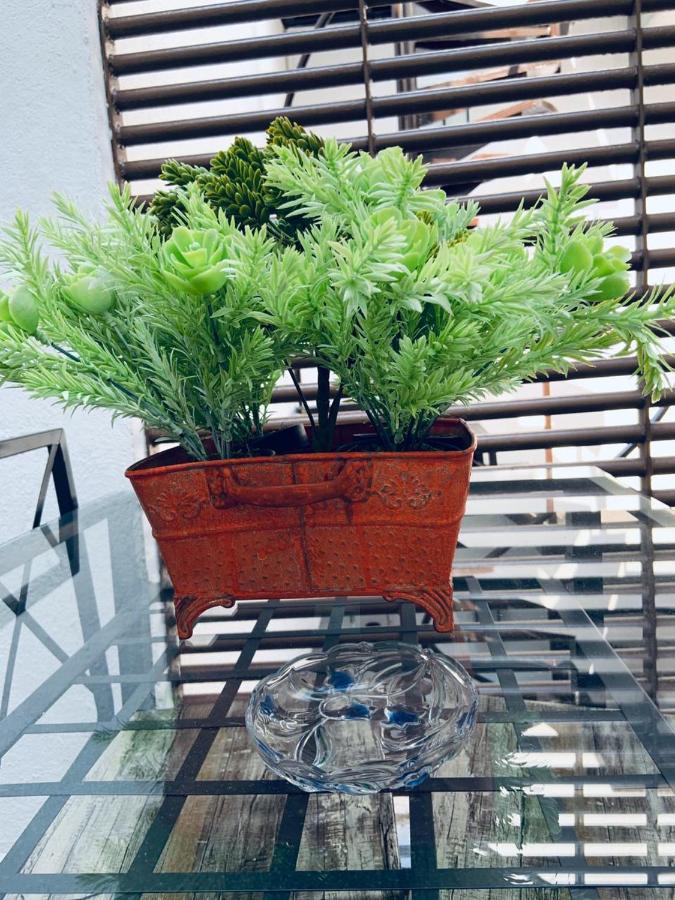 Bed & Breakfast Trojes Cdmx Mexico City