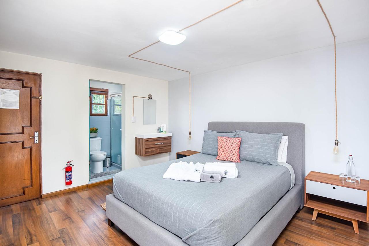 Coyoacan Guest house Mexico City