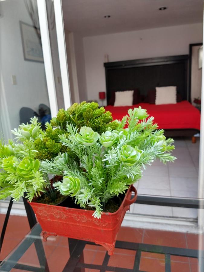 Trojes Cdmx Mexico City