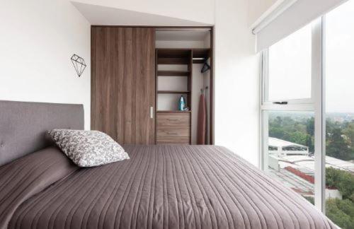San Angel Luxury 2br 2ba 1parking Apartment