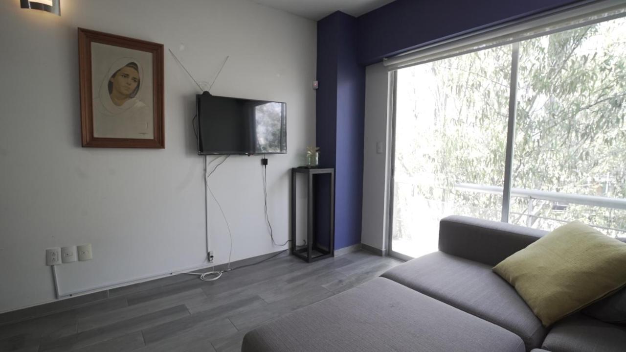 Apartment One Bedroom Del Valle
