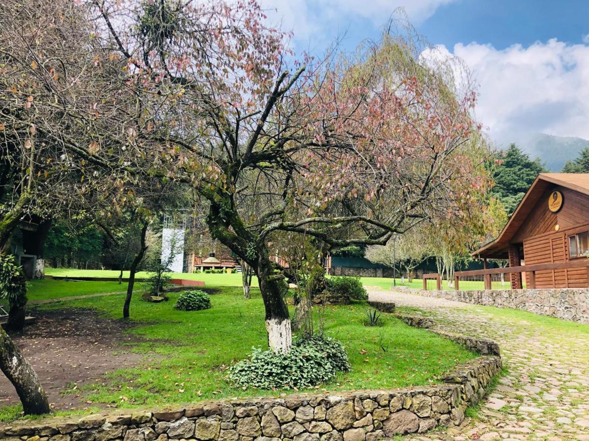 Ecocamp Ajusco 3* Mexico City