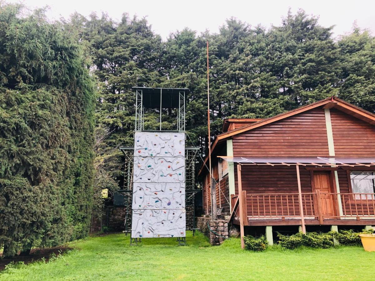 Ecocamp Ajusco Mexico City