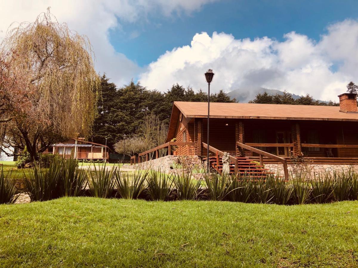 Ecocamp Ajusco