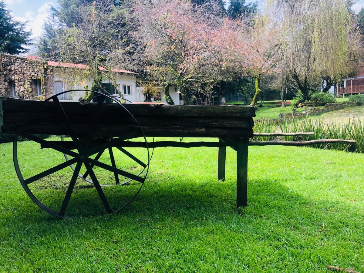 Ecocamp Ajusco