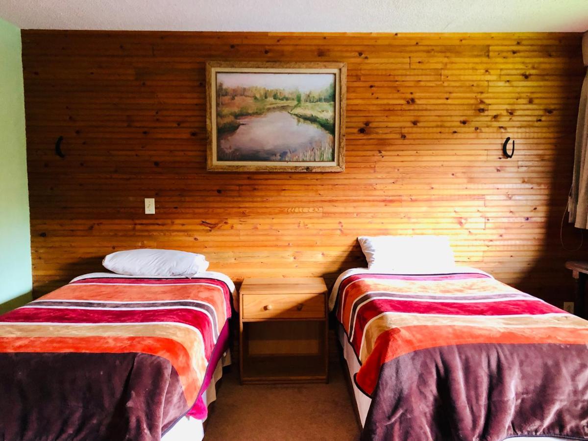 Ecocamp Ajusco Mexico City