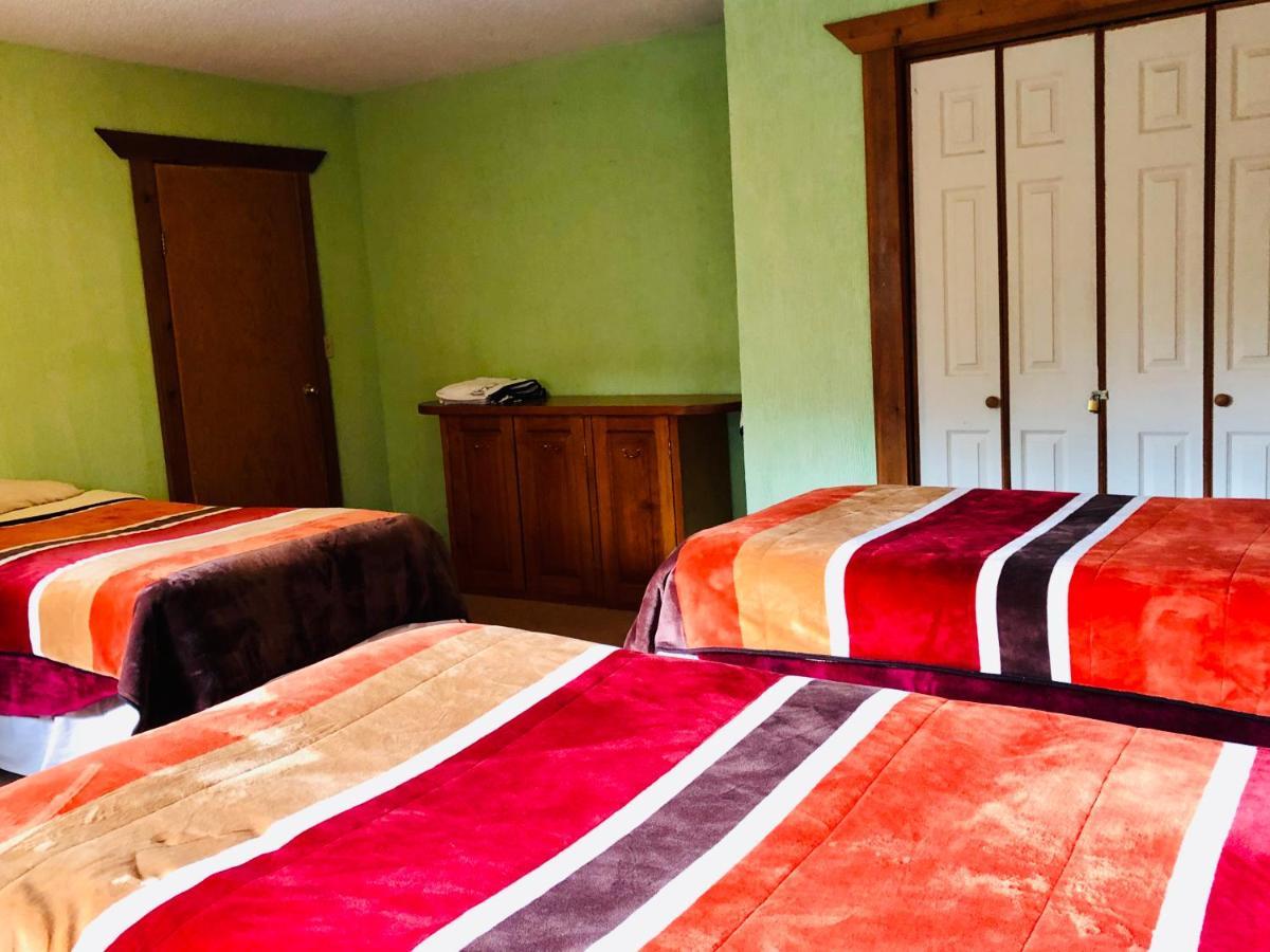 Ecocamp Ajusco 3*