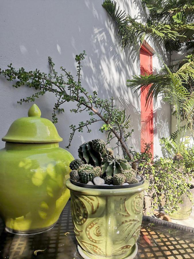 Homestay La Favorita Mexico City
