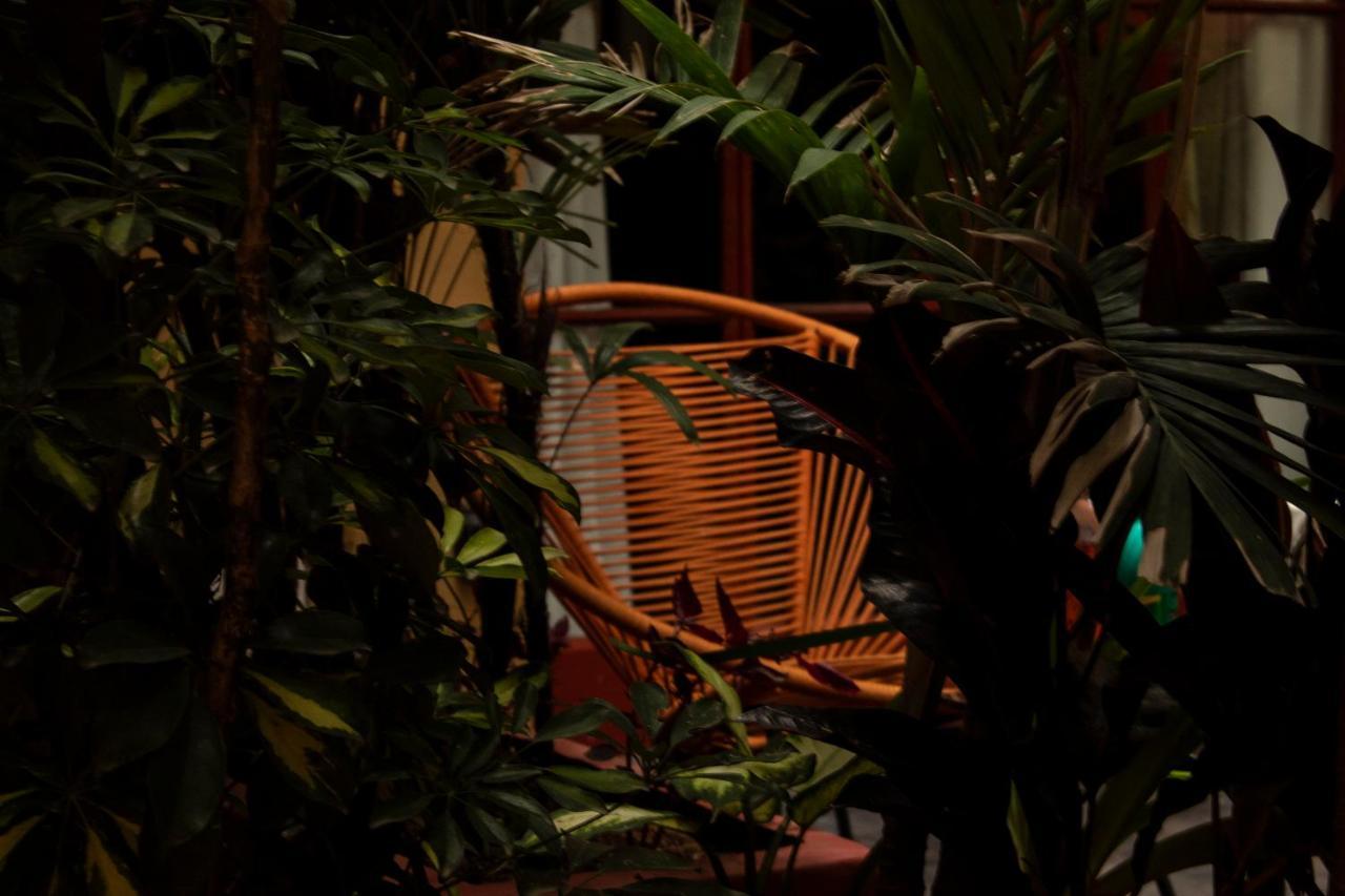The Red Tree House * Mexico City