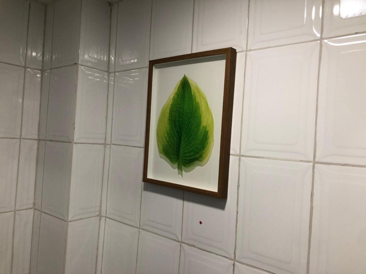 Caravansaro Horacio 1719 Polanco Homestay