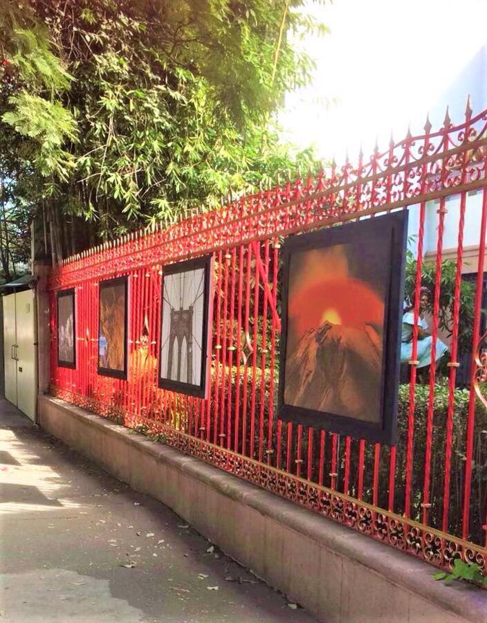 Arte Y Cultura, Casa Polanco. *