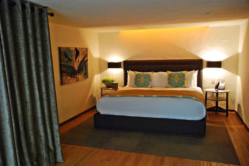 Busue A Boutique Experience Mexico City