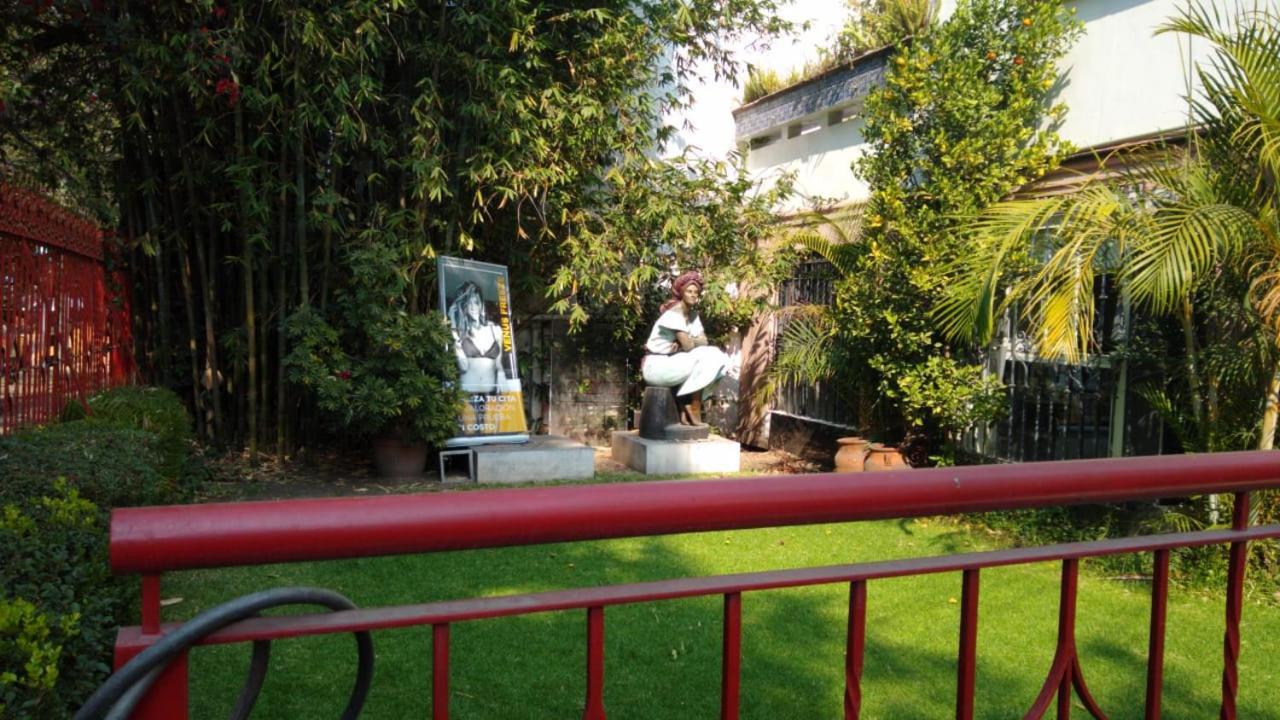 Arte Y Cultura, Casa Polanco. Mexico City