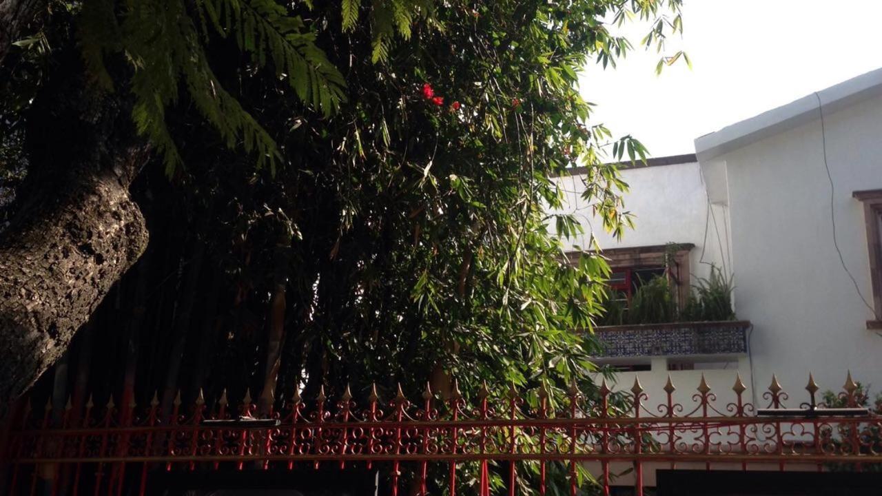 Arte Y Cultura, Casa Polanco. *