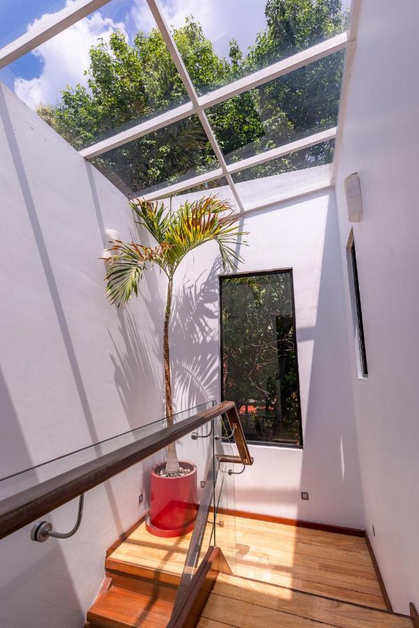 Casa Blanca In Coyoacan * México DF