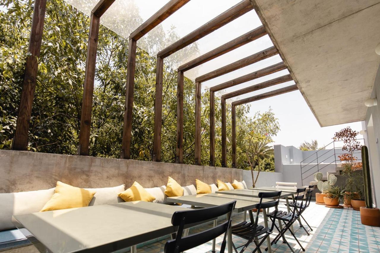 Beautiful New, Modern In La Condesa! Apartment
