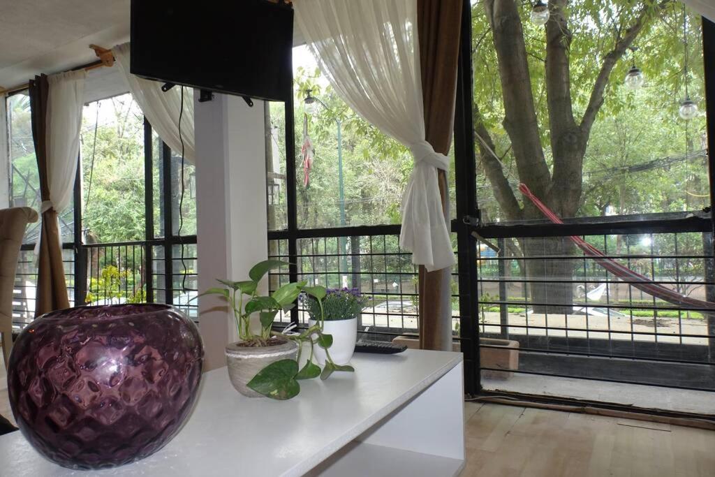 Apartment Narvarte Park