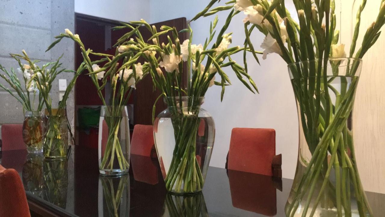 Arte Y Cultura, Casa Polanco. *