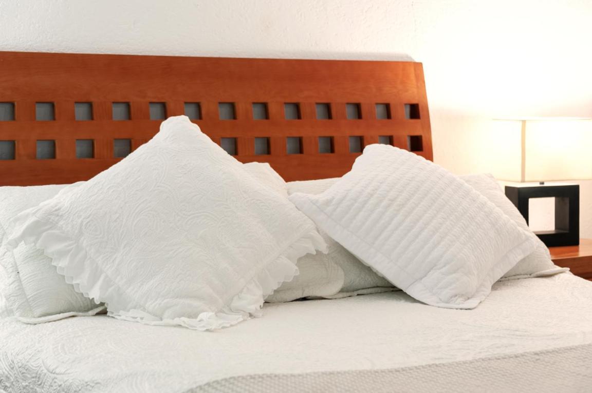 1-b El Rincon Garden House, Welcome To San Angel Mexico City