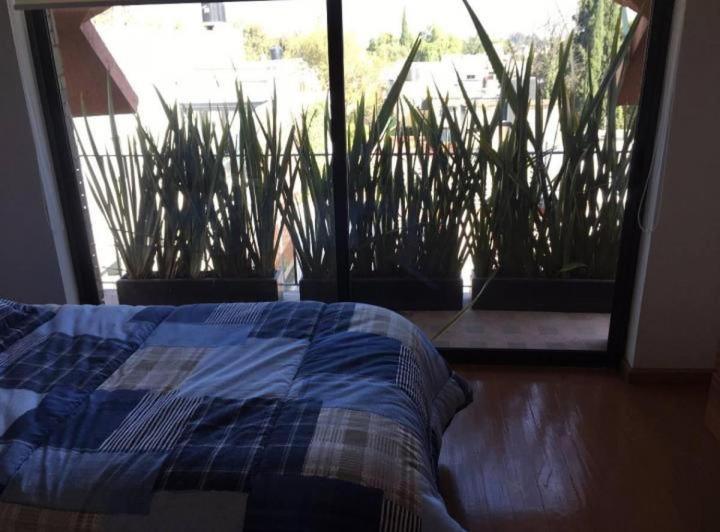 Casa Amplia En Lomas De Chapultepec Apartamento *