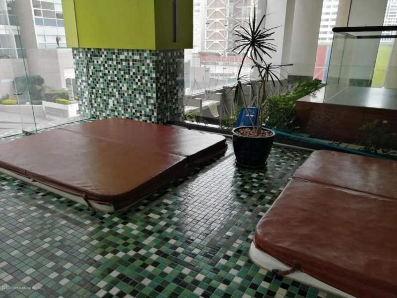 Blue Horse In New Polanco. Apartment Mexico City